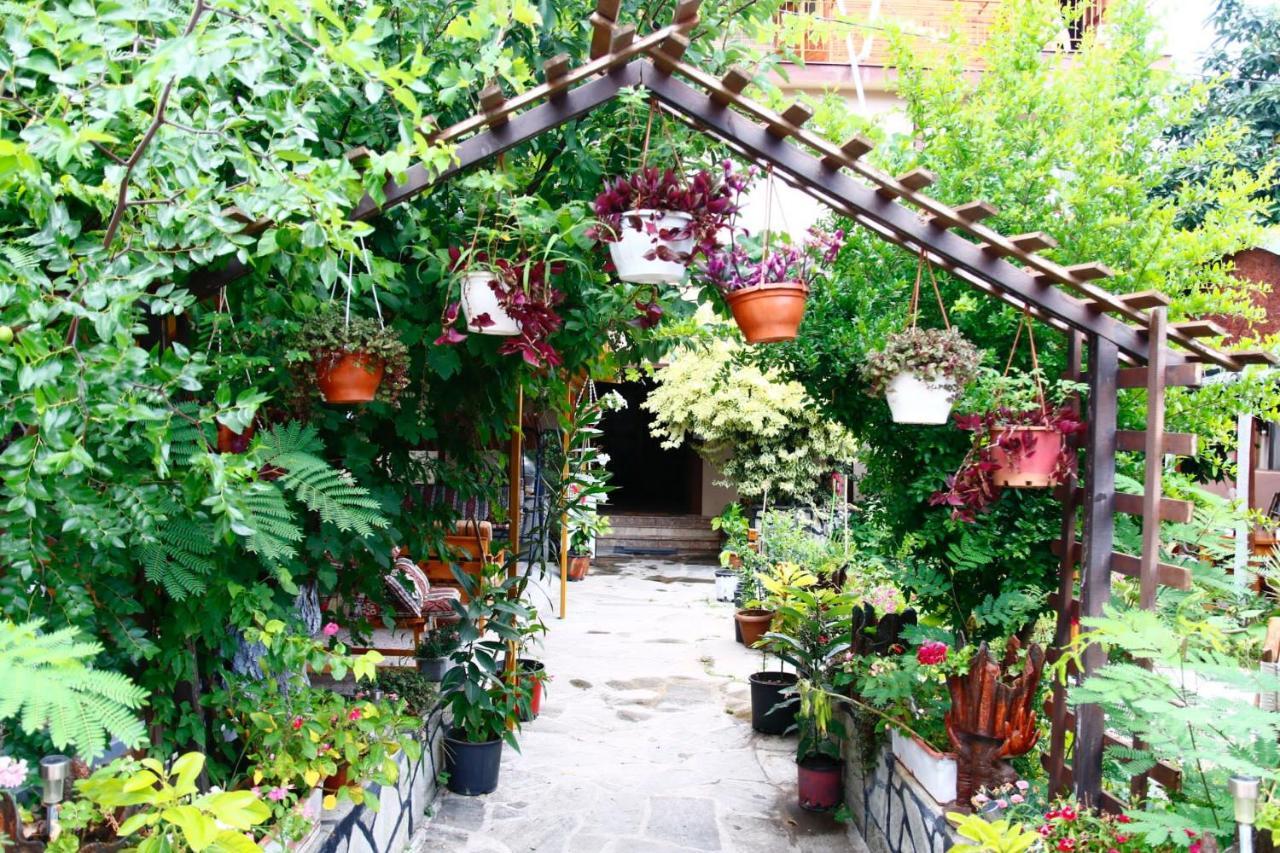 Rosemary Pansiyon Cirali Exterior foto