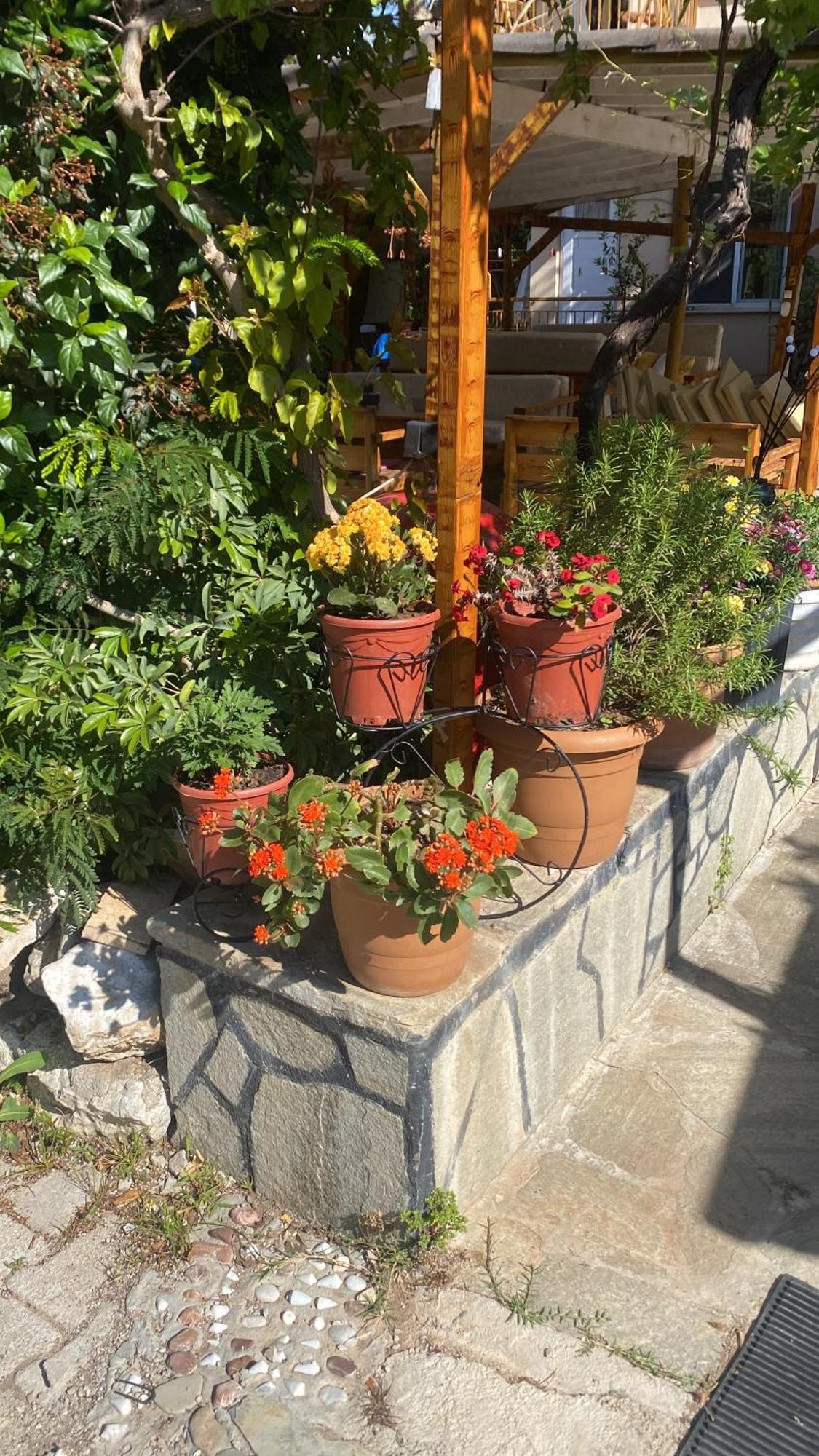 Rosemary Pansiyon Cirali Exterior foto